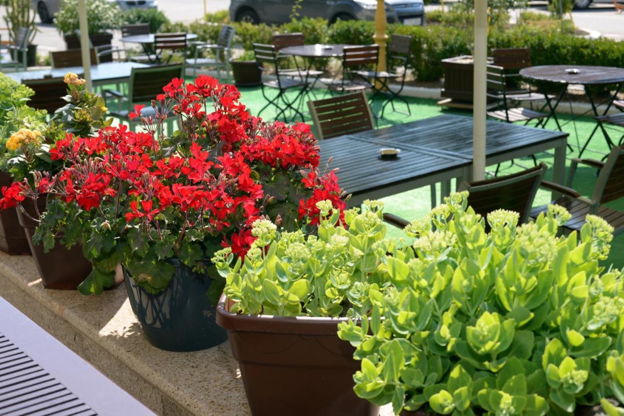 Hotel Condor Mamaia Εξωτερικό φωτογραφία